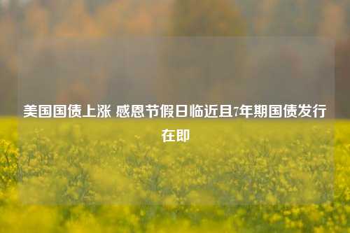 美国国债上涨 感恩节假日临近且7年期国债发行在即-第1张图片-丹佛斯变频器_安川变频器_台达变频器_汇川变频器-变频器之家