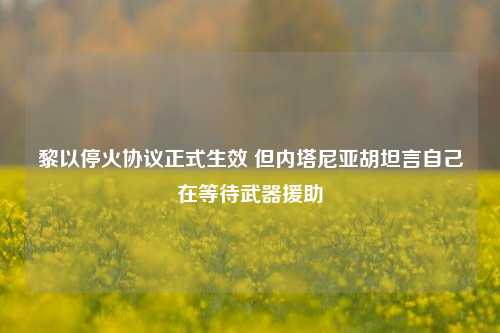 黎以停火协议正式生效 但内塔尼亚胡坦言自己在等待武器援助-第1张图片-丹佛斯变频器_安川变频器_台达变频器_汇川变频器-变频器之家