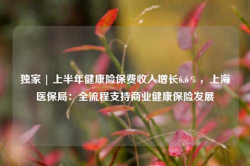 独家 | 上半年健康险保费收入增长6.6％，上海医保局：全流程支持商业健康保险发展-第1张图片-丹佛斯变频器_安川变频器_台达变频器_汇川变频器-变频器之家