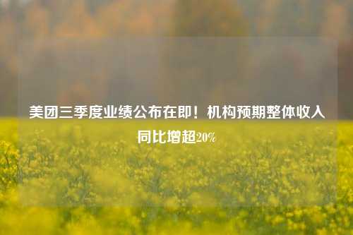 美团三季度业绩公布在即！机构预期整体收入同比增超20%-第1张图片-丹佛斯变频器_安川变频器_台达变频器_汇川变频器-变频器之家