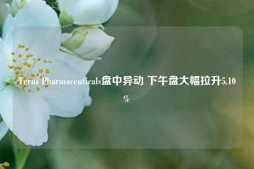 Terns Pharmaceuticals盘中异动 下午盘大幅拉升5.10%-第1张图片-丹佛斯变频器_安川变频器_台达变频器_汇川变频器-变频器之家