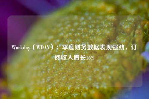 Workday（WDAY）：季度财务数据表现强劲，订阅收入增长16%-第1张图片-丹佛斯变频器_安川变频器_台达变频器_汇川变频器-变频器之家