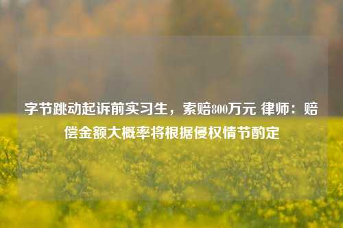 字节跳动起诉前实习生，索赔800万元 律师：赔偿金额大概率将根据侵权情节酌定-第1张图片-丹佛斯变频器_安川变频器_台达变频器_汇川变频器-变频器之家