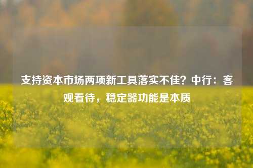 支持资本市场两项新工具落实不佳？中行：客观看待，稳定器功能是本质-第1张图片-丹佛斯变频器_安川变频器_台达变频器_汇川变频器-变频器之家