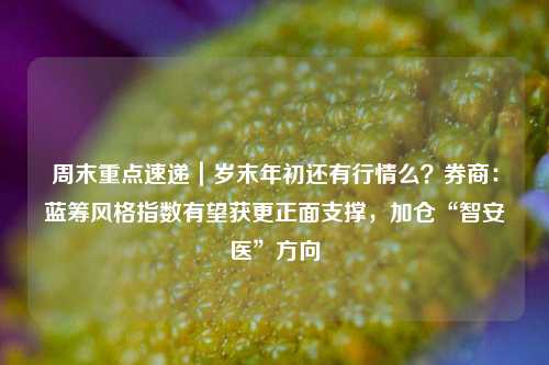 周末重点速递｜岁末年初还有行情么？券商：蓝筹风格指数有望获更正面支撑，加仓“智安医”方向-第1张图片-丹佛斯变频器_安川变频器_台达变频器_汇川变频器-变频器之家