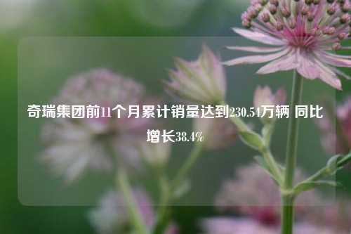 奇瑞集团前11个月累计销量达到230.54万辆 同比增长38.4%-第1张图片-丹佛斯变频器_安川变频器_台达变频器_汇川变频器-变频器之家