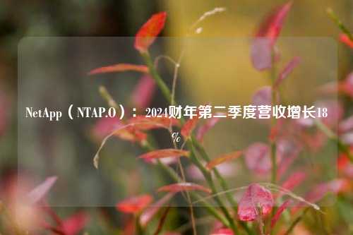 NetApp（NTAP.O）：2024财年第二季度营收增长18%-第1张图片-丹佛斯变频器_安川变频器_台达变频器_汇川变频器-变频器之家