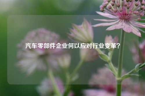 汽车零部件企业何以应对行业变革？-第1张图片-丹佛斯变频器_安川变频器_台达变频器_汇川变频器-变频器之家