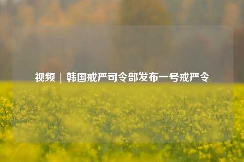 视频 | 韩国戒严司令部发布一号戒严令-第1张图片-丹佛斯变频器_安川变频器_台达变频器_汇川变频器-变频器之家